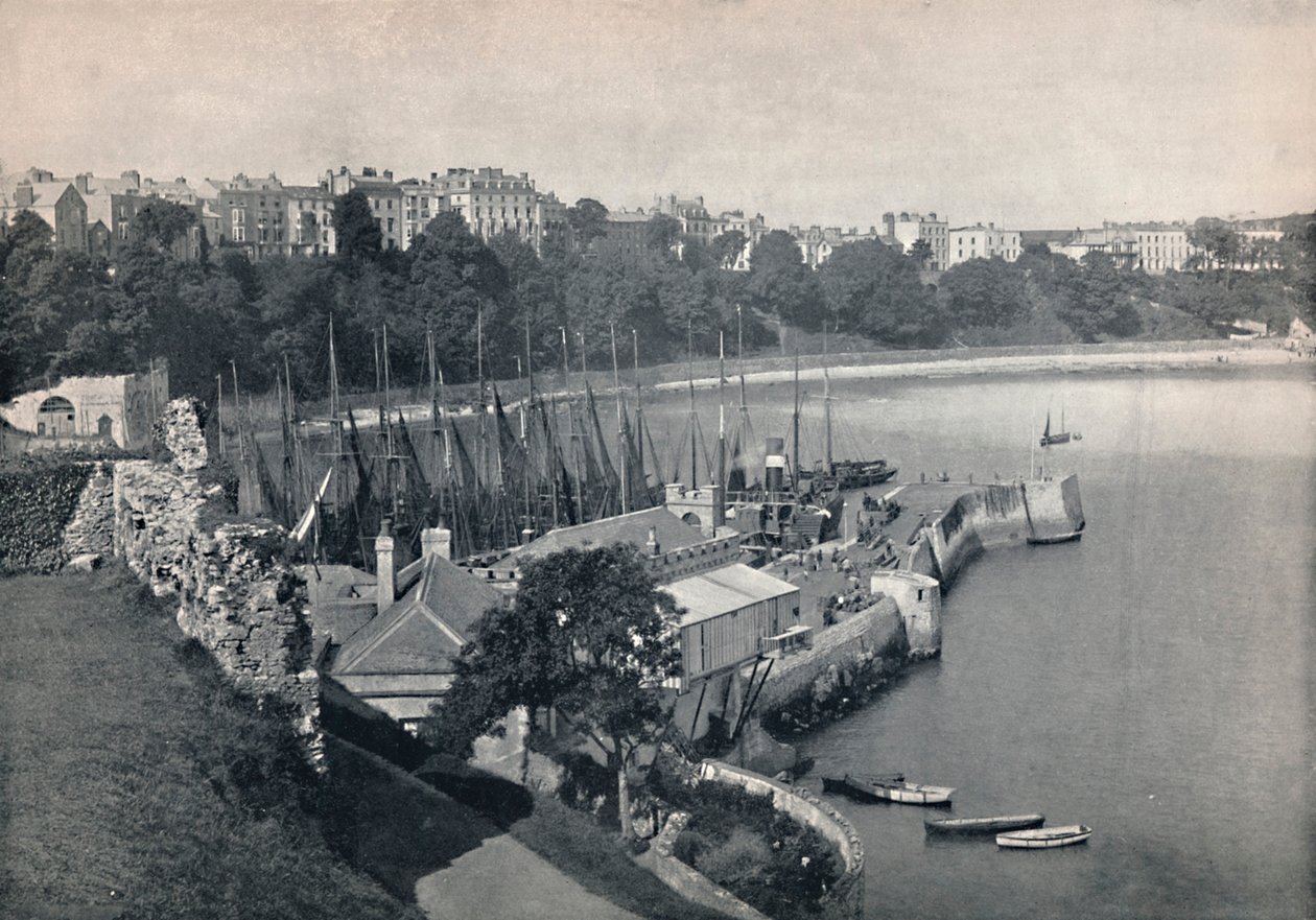 Tenby - Celkový pohled, 1895 od Unbekannt