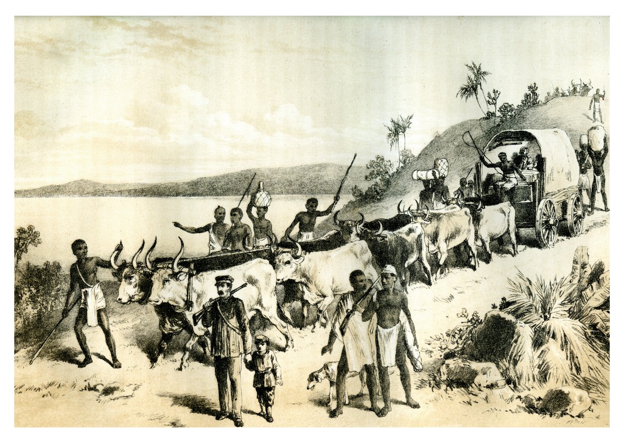 Příjezd k jezeru Ngami, 1883 od Unbekannt