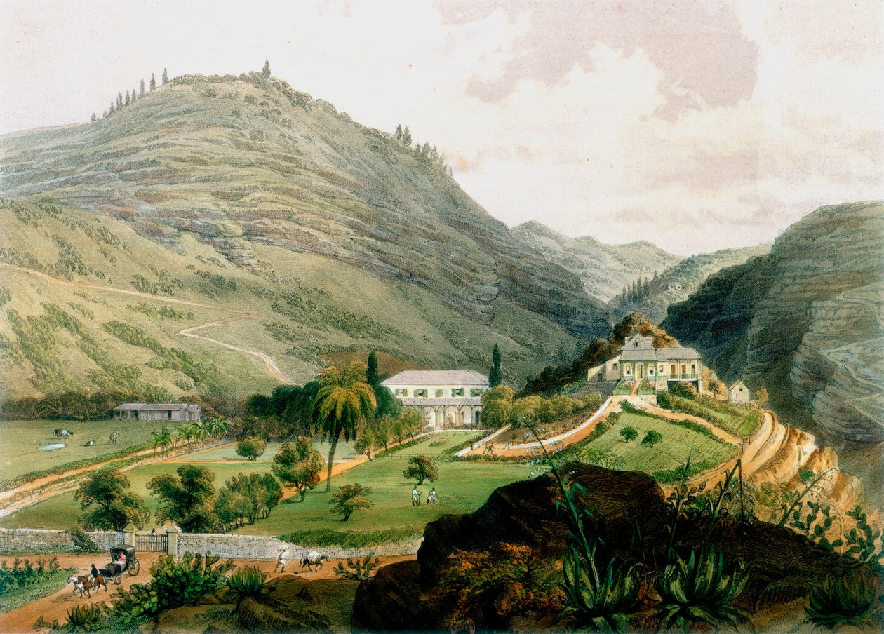The Briars, Svatá Helena, počátek 19. století 1851 od Unbekannt