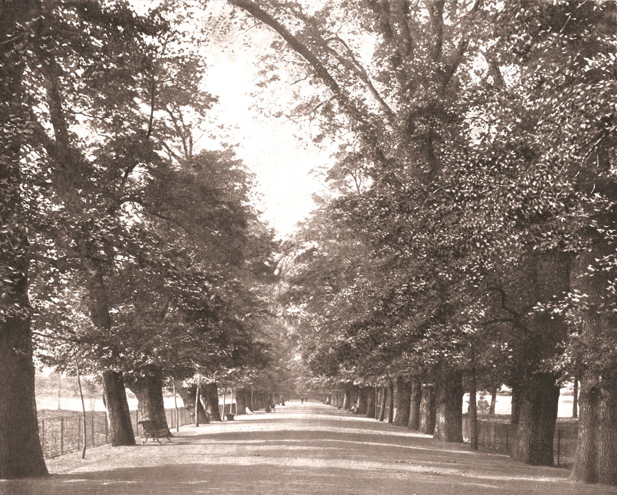 The Broad Walk, Oxford, 1894. od Unbekannt