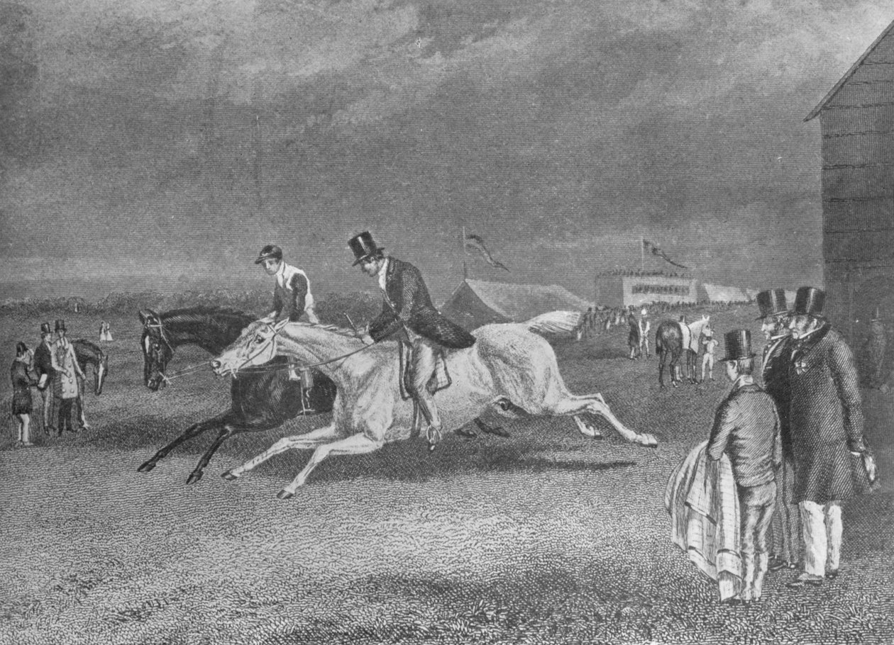 Canter Up, 19. století, 1911 od Unbekannt