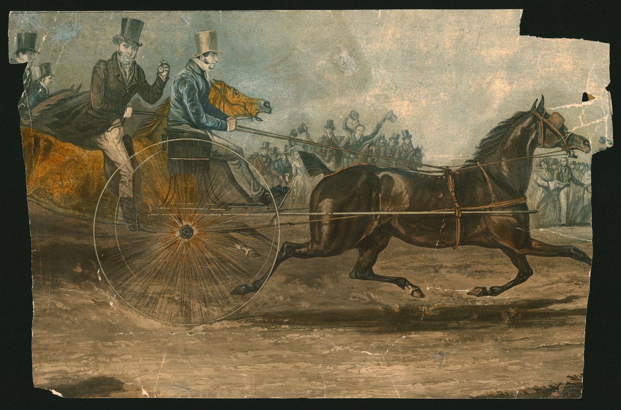 The Celebated Tom Thumb, c1830. od Unbekannt