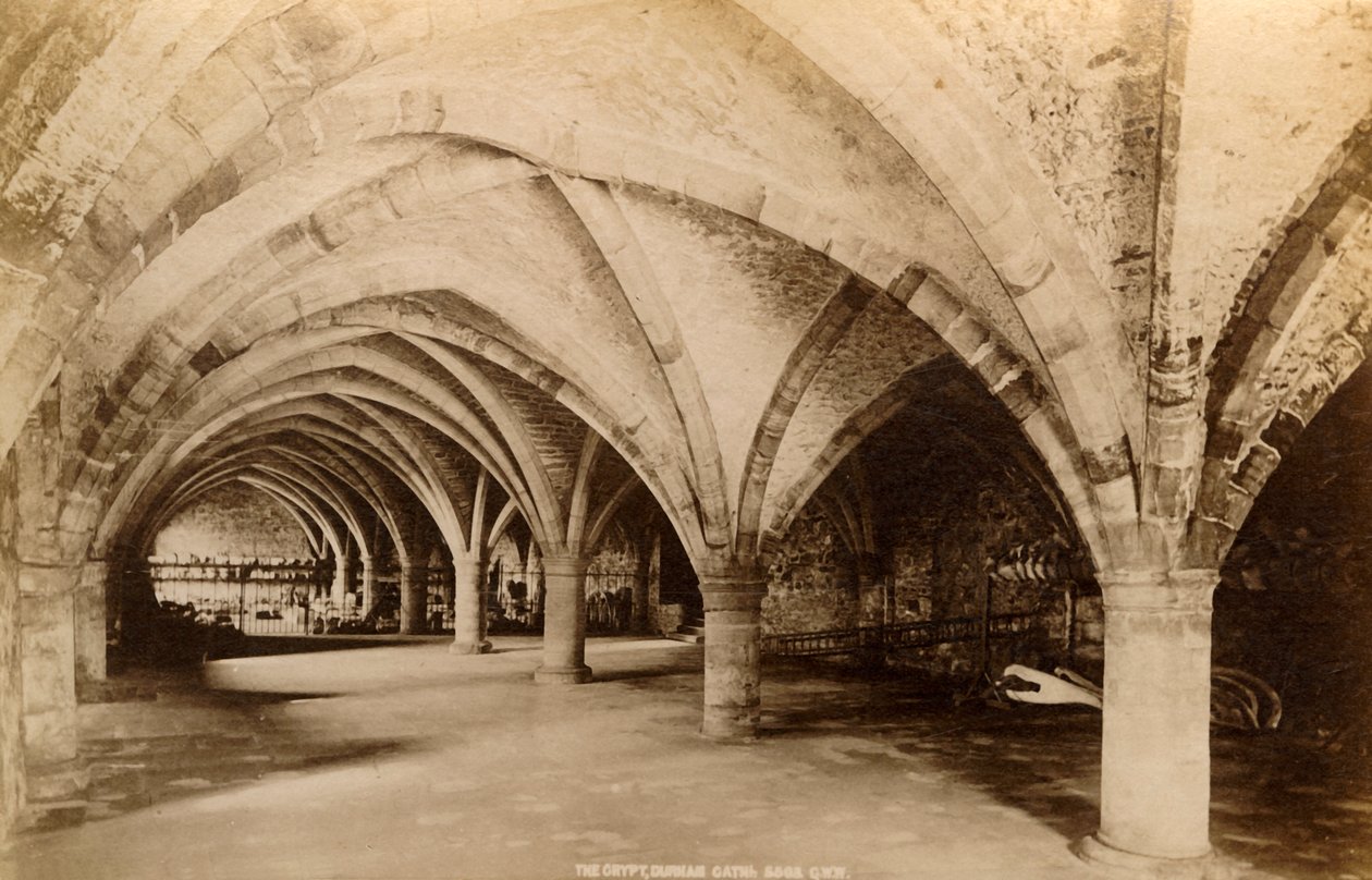 Krypta, katedrála v Durhamu, 1893. od Unbekannt