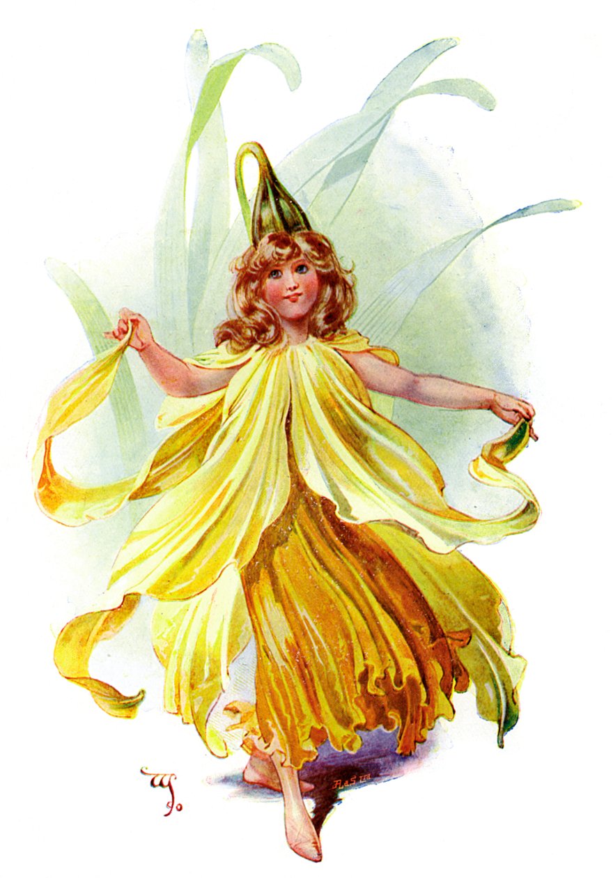 Narcis, 1899 od Unbekannt