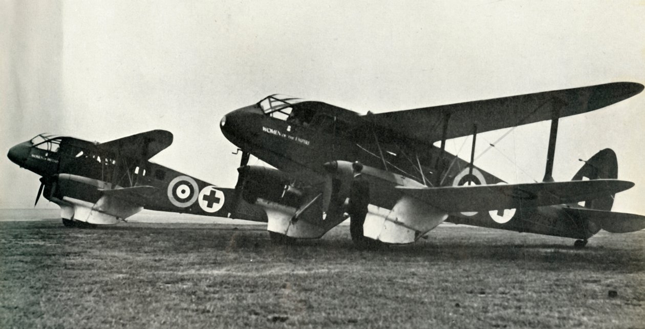 Ambulance De Havilland, 1941. od Unbekannt