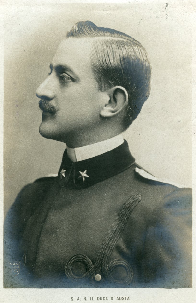 Vévoda z Aosty, c1900 od Unbekannt