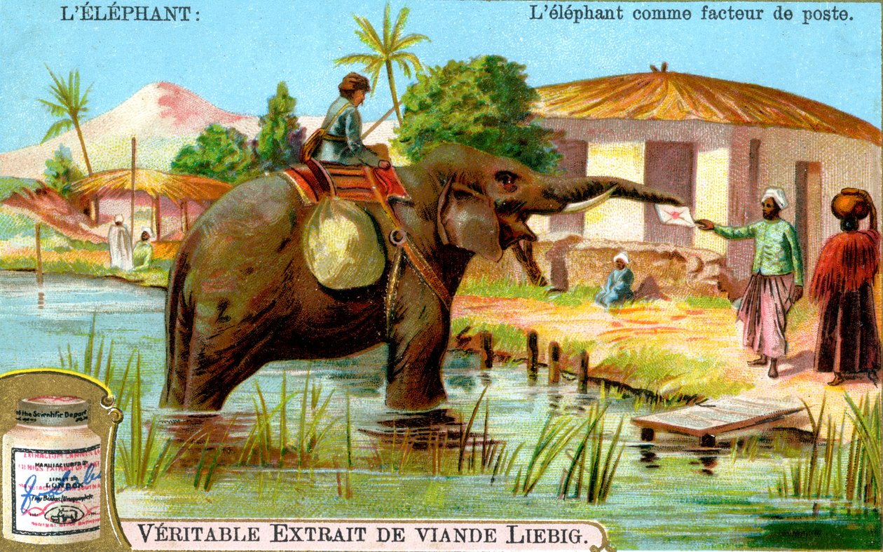 Slon jako pošťák, c1900 od Unbekannt