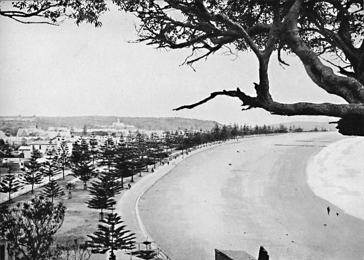 Esplanade, Manly Beach, c1900. od Unbekannt