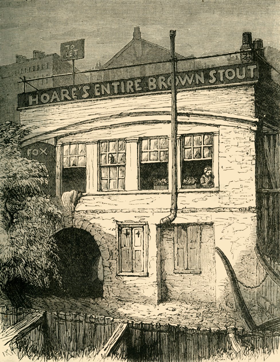 Fox-Under-The-Hill., 1881. od Unbekannt