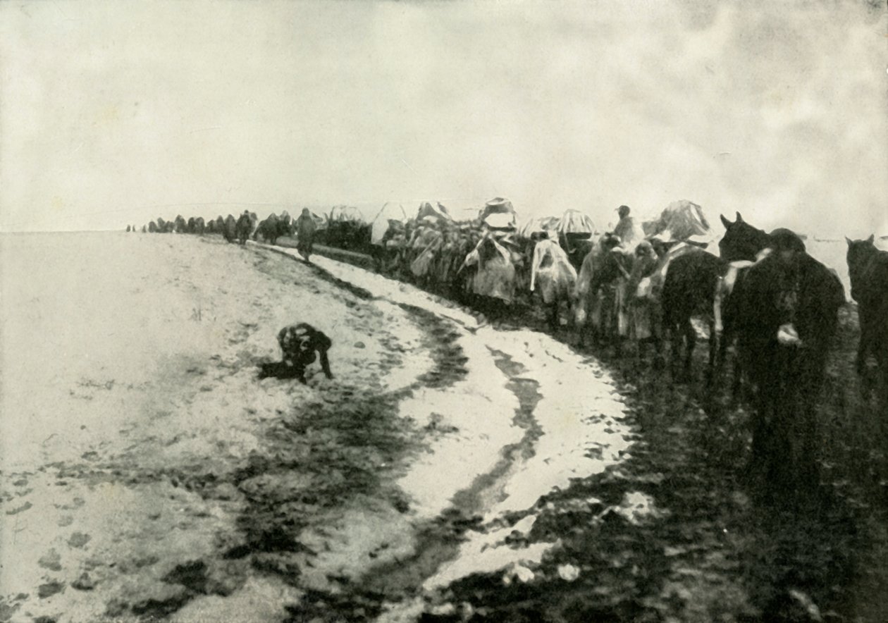 Velký srbský ústup, 1919. od Unbekannt