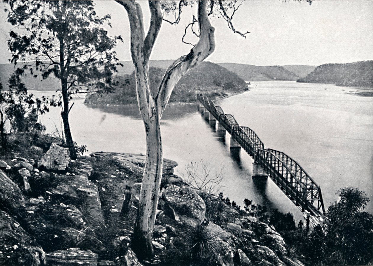 Řeka a most Hawkesbury, c1900. od Unbekannt