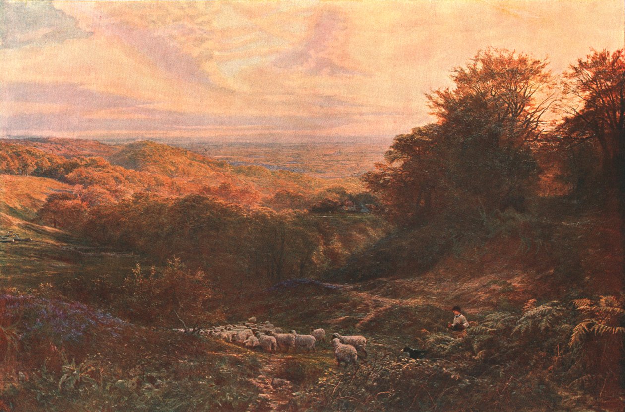 Srdce Surrey, 1874, c1902. od Unbekannt