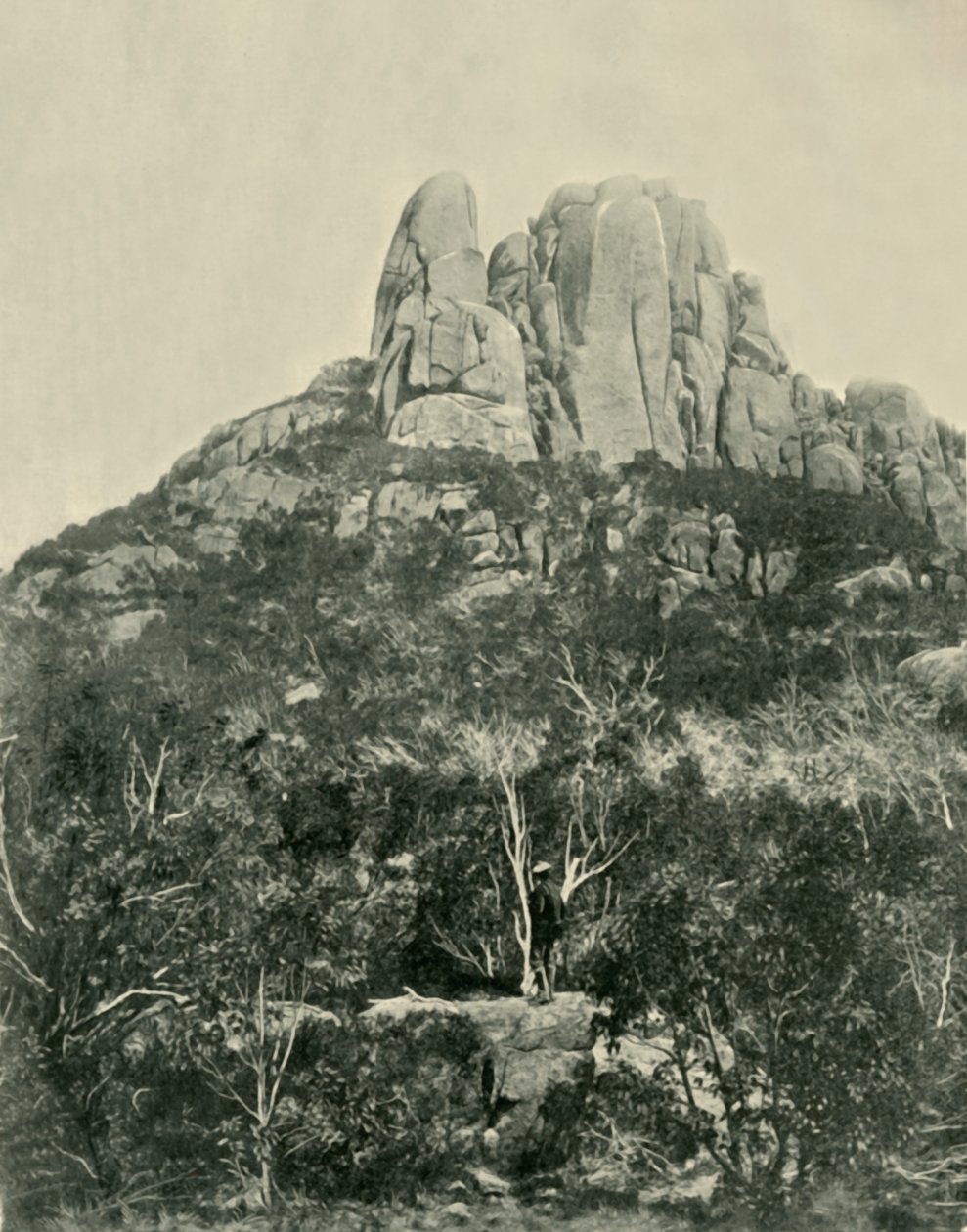 The Hump, Buffalo Mountains, 1901. od Unbekannt
