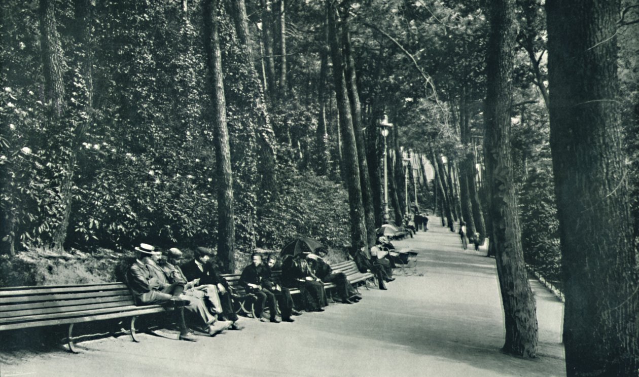 Procházka invalidů, c1910 od Unbekannt