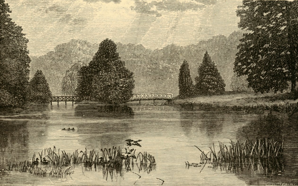 Jezero, Blenheim, 1898. od Unbekannt