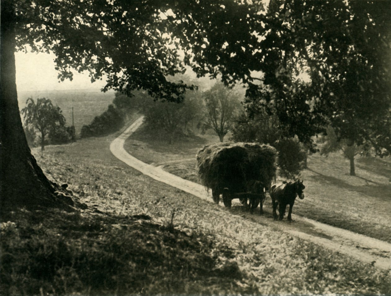 Poslední náklad, 1936. od Unbekannt