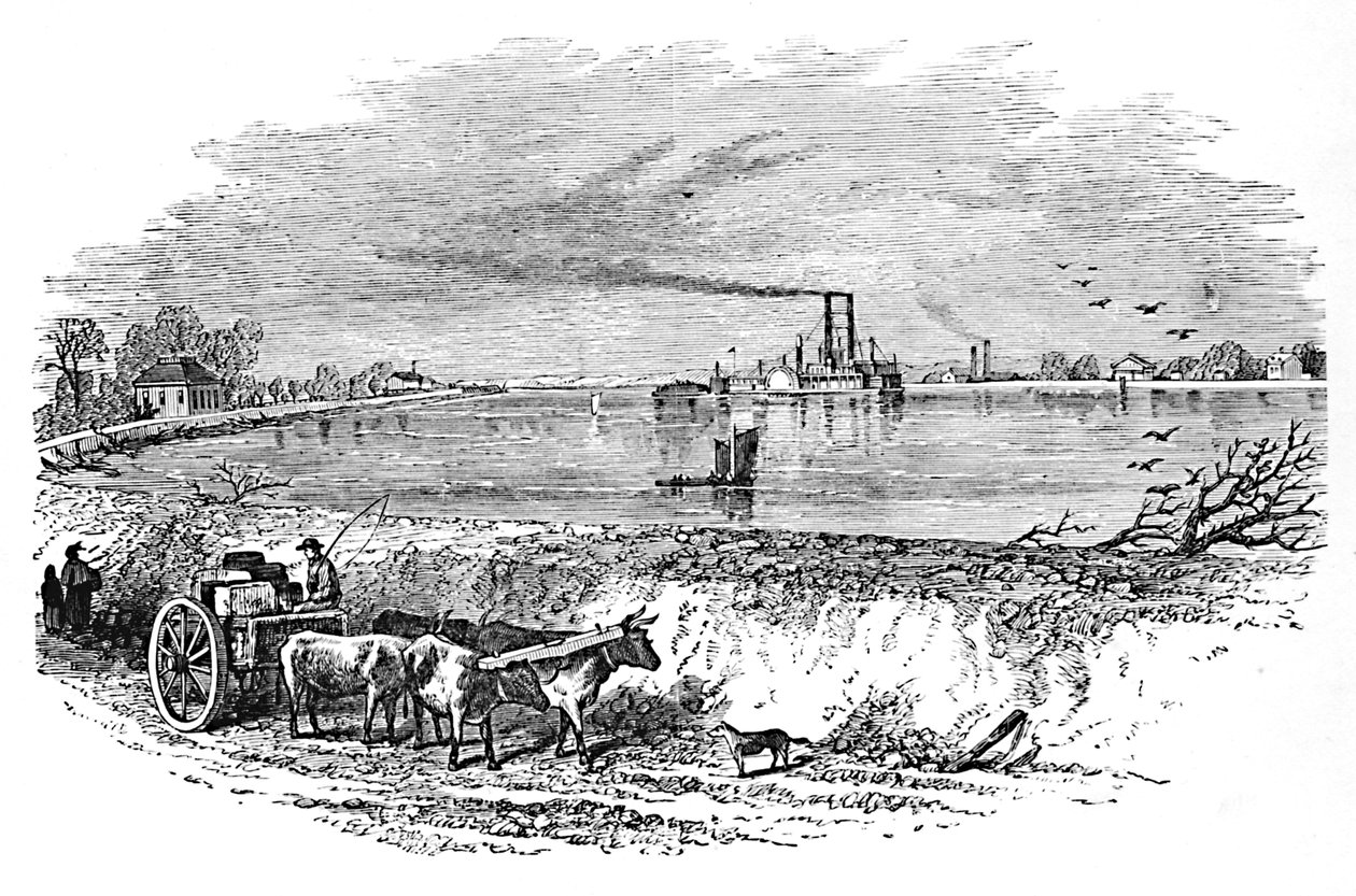 Levee, 1883 od Unbekannt