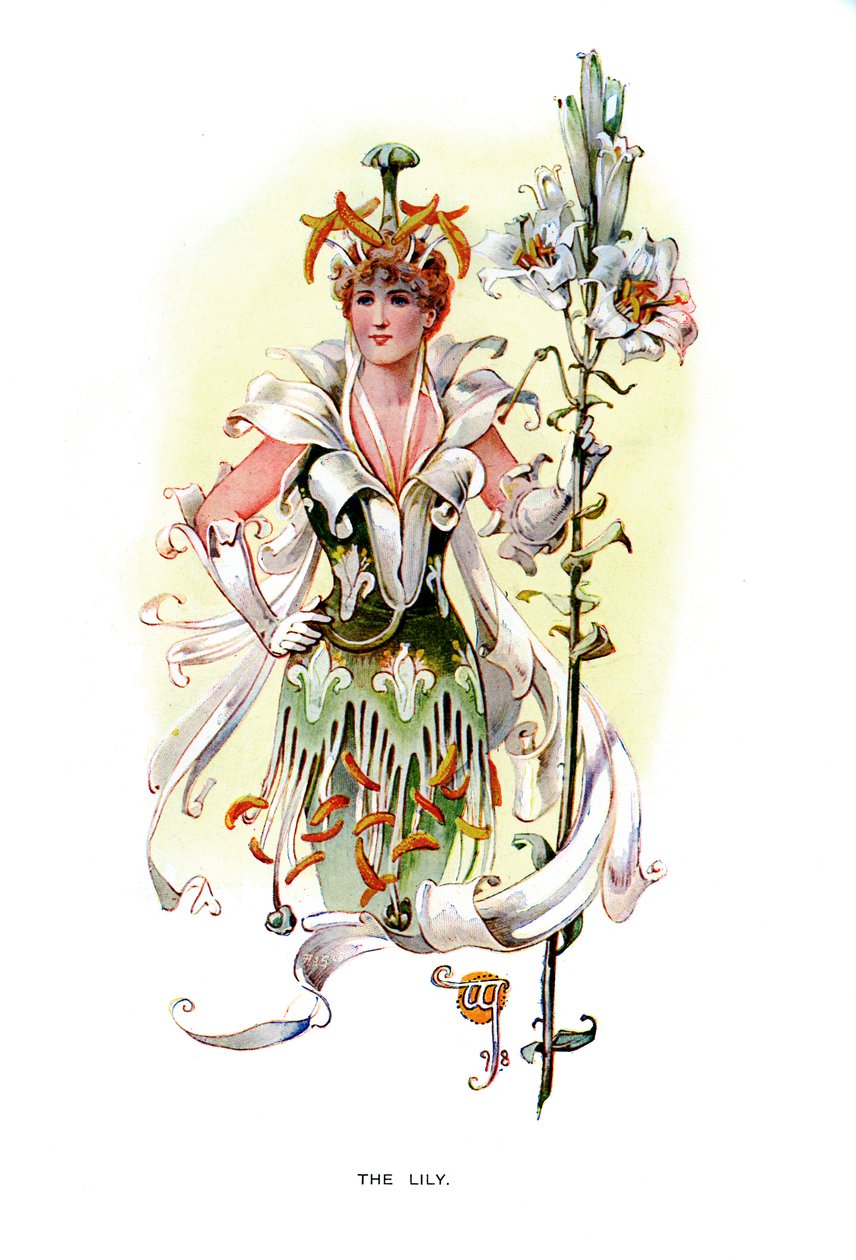 Lilie, 1899 od Unbekannt