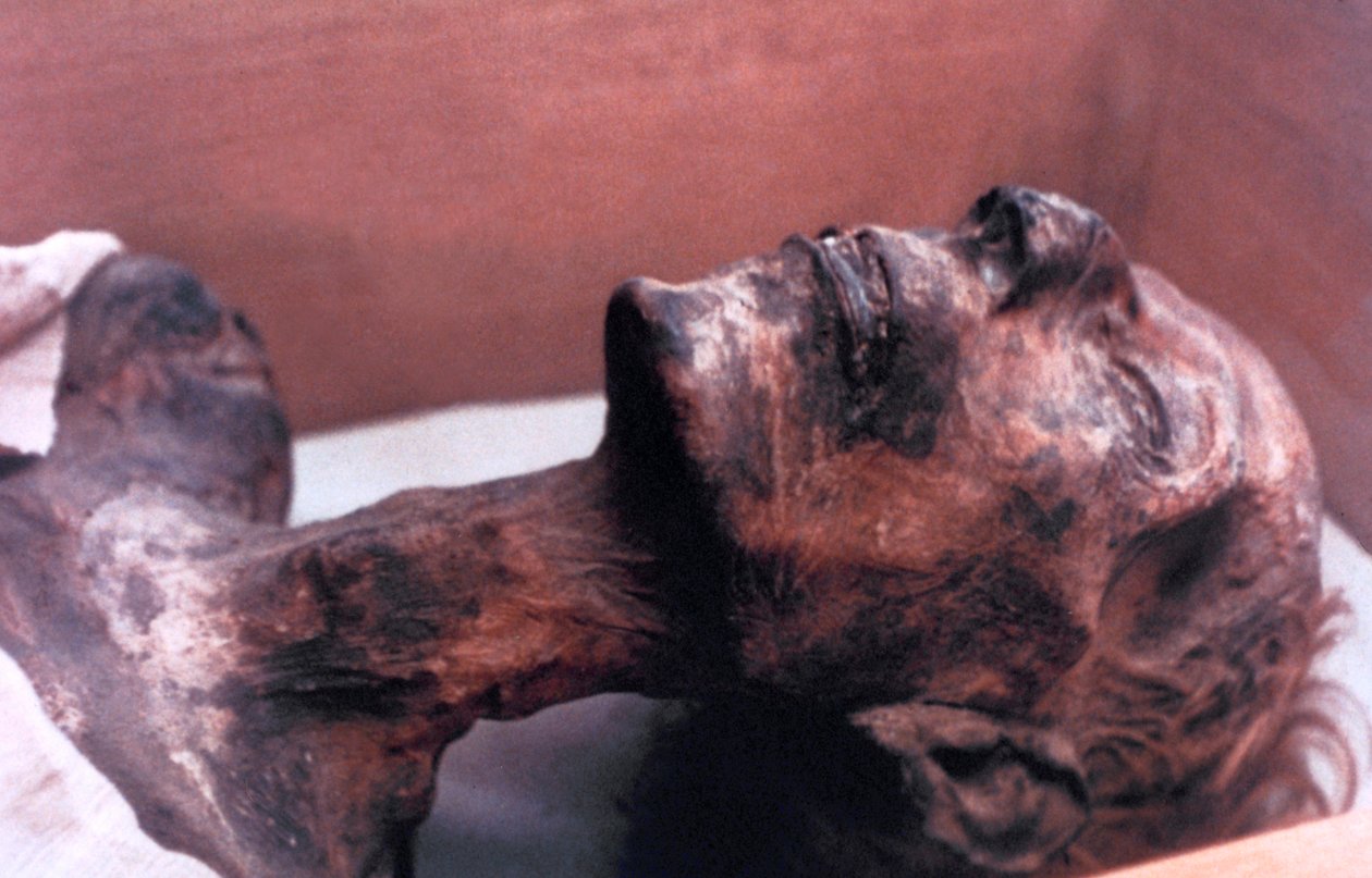 Mumie Rameses II, Egypt, 1213 př.nl od Unbekannt