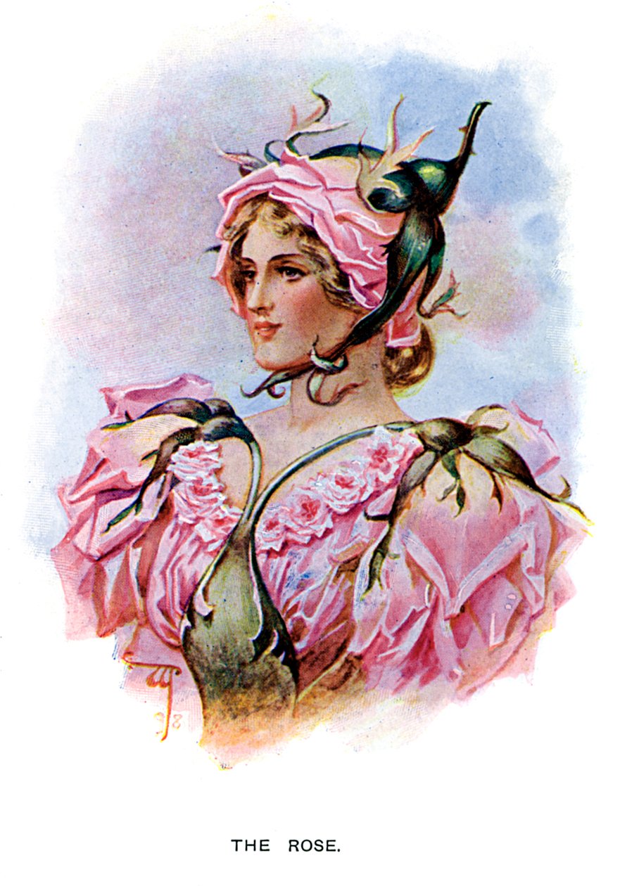 Růže, 1899 od Unbekannt