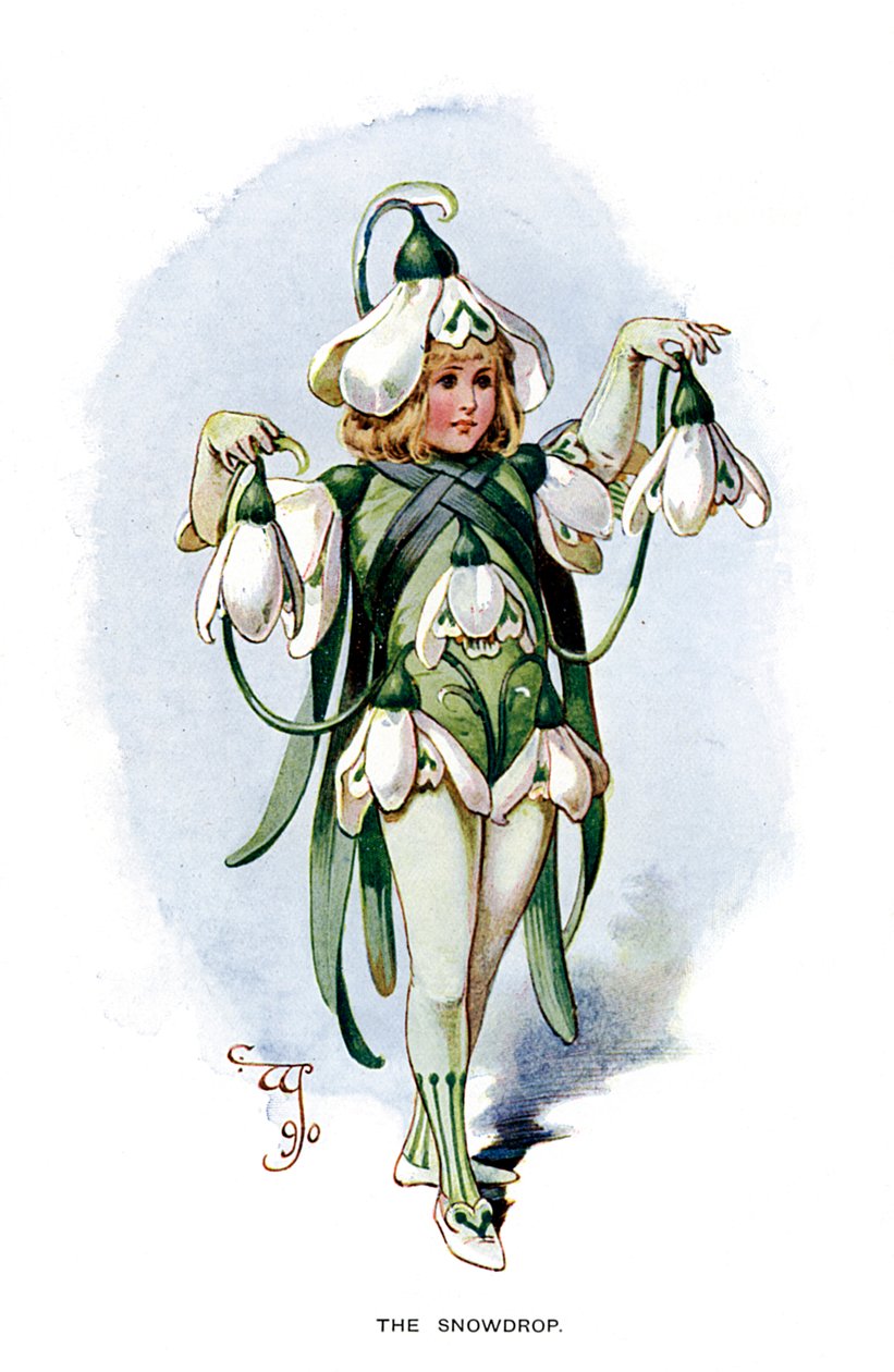 Sněženka, 1899 od Unbekannt