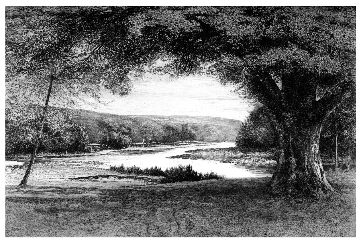 Údolí Avoca, 1895 od Unbekannt