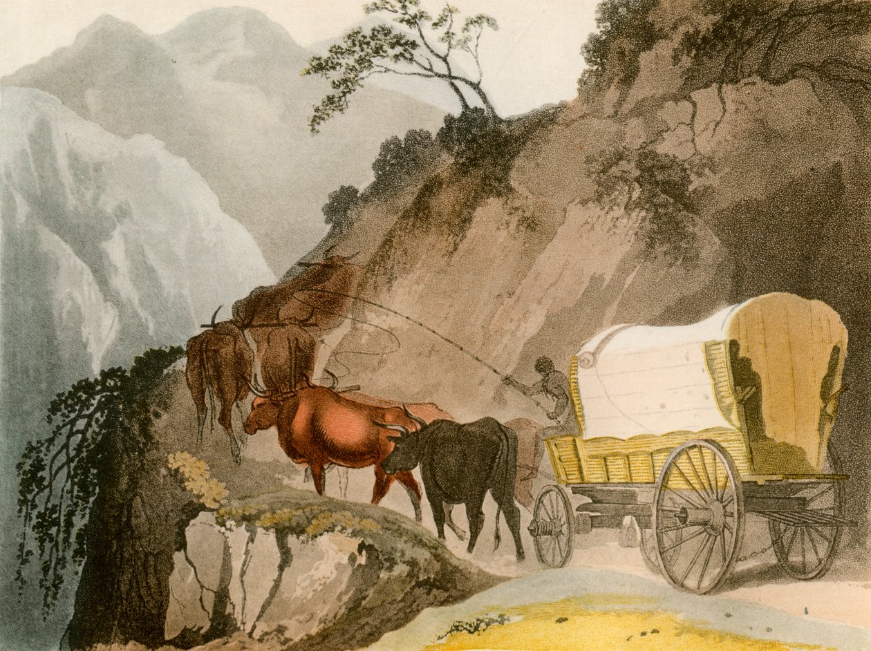 The Way of the Voortrekker, 1931 od Unbekannt