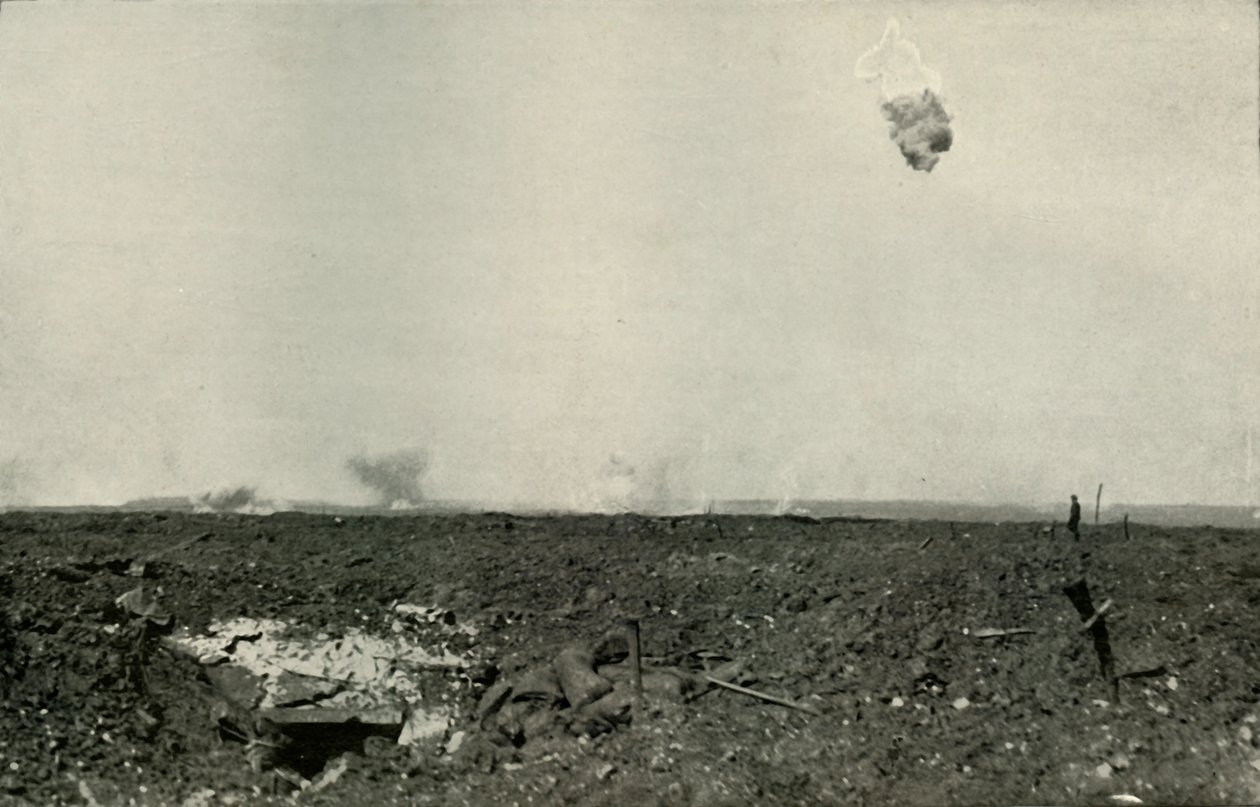 The Woolly Bear., 1919. od Unbekannt