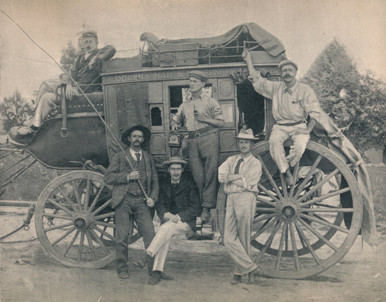 Trenér Zambesi, c1900. od Unbekannt