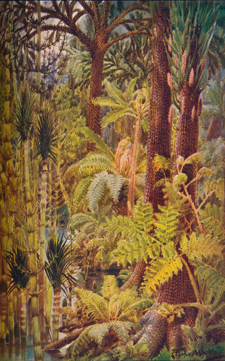 Gigantická vegetace karbonu, 1907. od Unbekannt