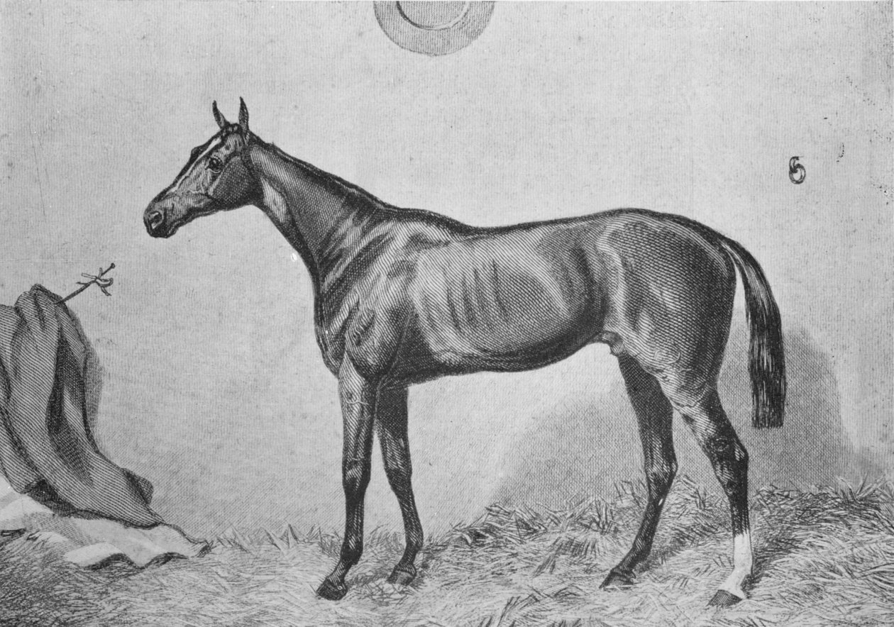 Thormanby, c1860, 1911 od Unbekannt