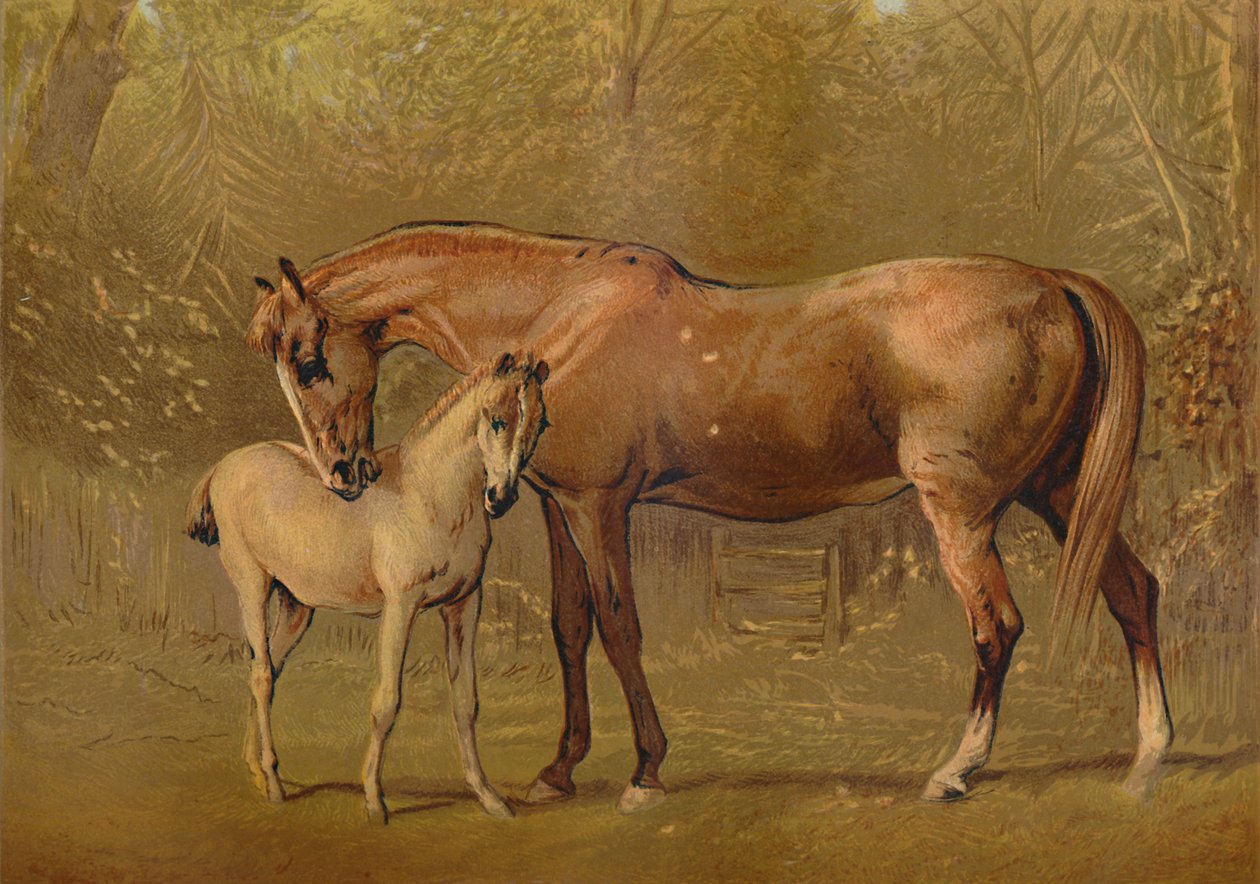 Plnokrevná klisna a hříbě, c1879. od Unbekannt