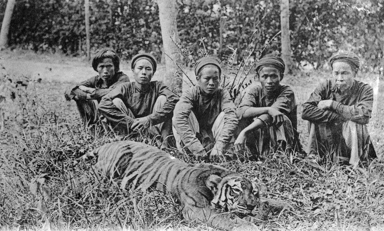 Lovci tygrů, Tonkin, Vietnam, 20. století od Unbekannt