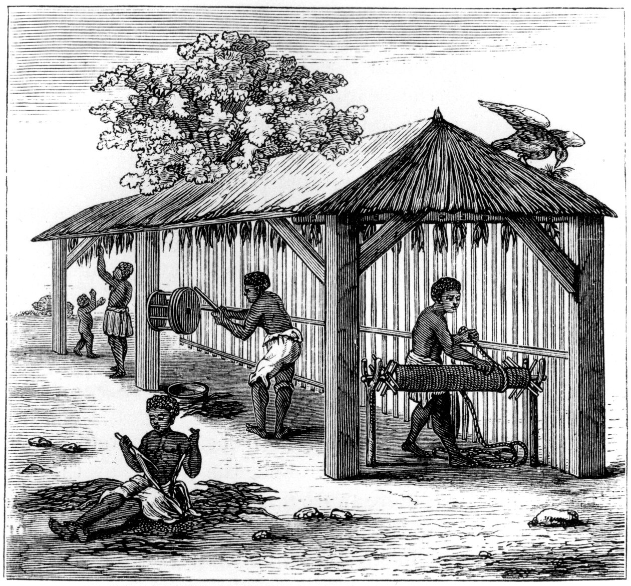 Příprava tabáku, 1873 od Unbekannt