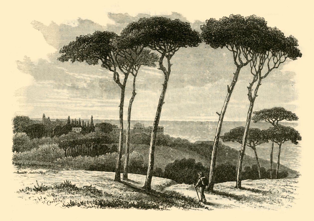 Tusculum, 1890. od Unbekannt