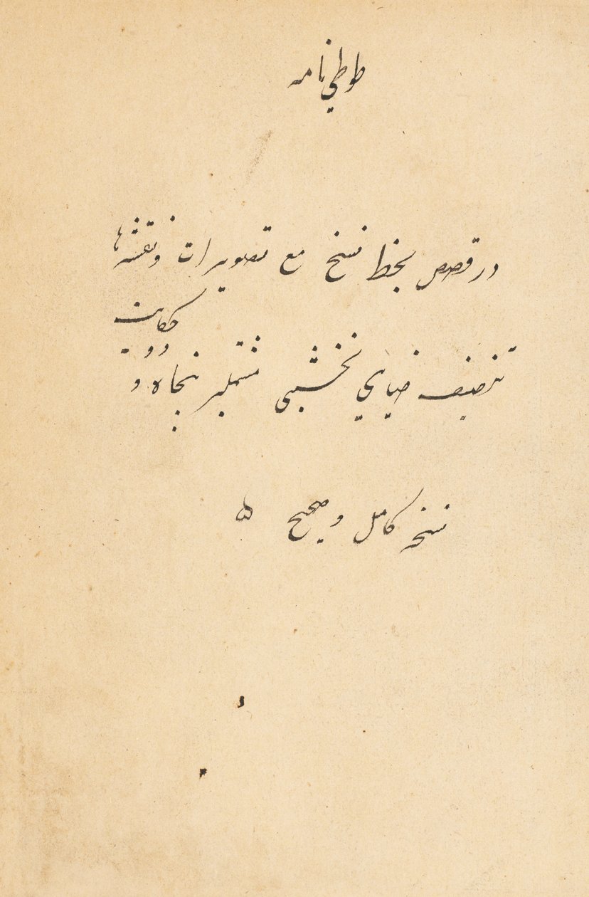 Tuti-Nama Příběhy papouška, c. 1560. od Unbekannt