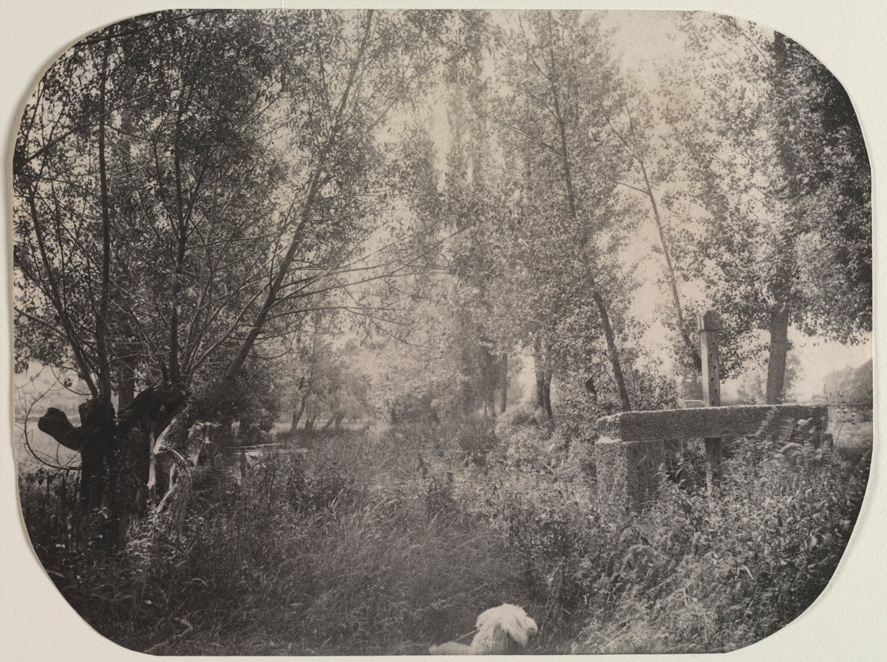 Bez názvu Krajina se psem, c. 1910. od Unbekannt