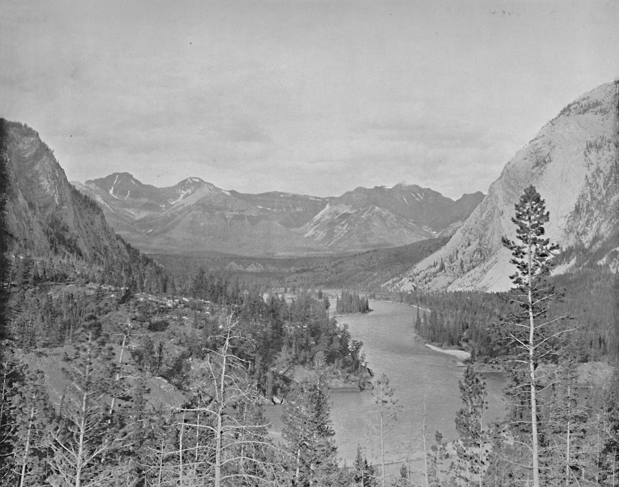 Údolí řeky Bow, Alberta, Kanada, c1897. od Unbekannt