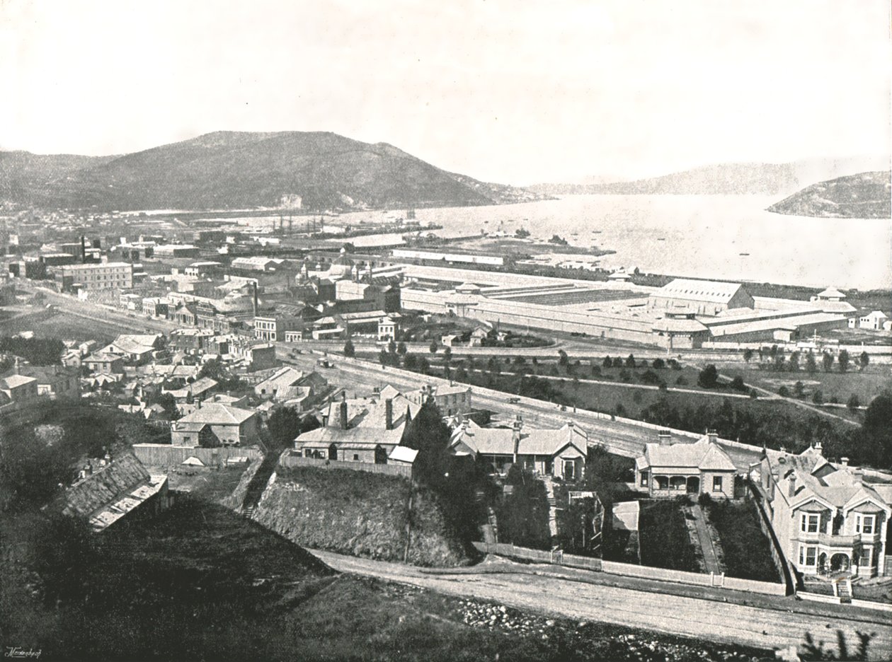 Pohled z Maitland Street, Dunedin, Nový Zéland, 1895. od Unbekannt