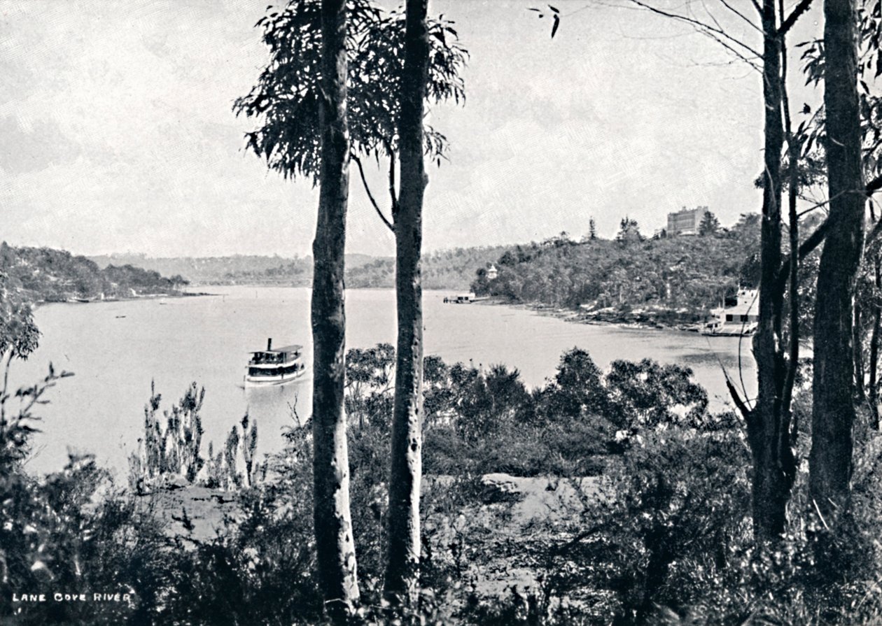 Pohled na řeku Lane Cove, c1900. od Unbekannt