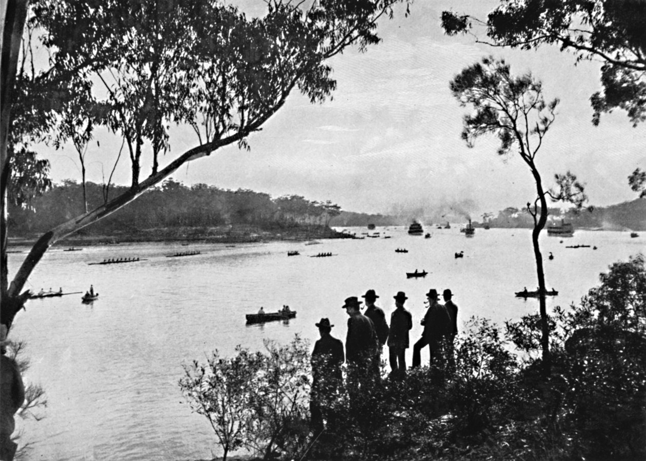 Pohled na řeku Parramatta, c1900. od Unbekannt