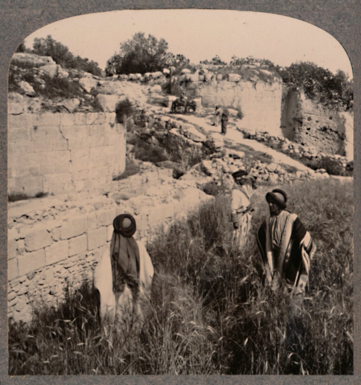 Stěny Augusta, Samaří, c1900 od Unbekannt