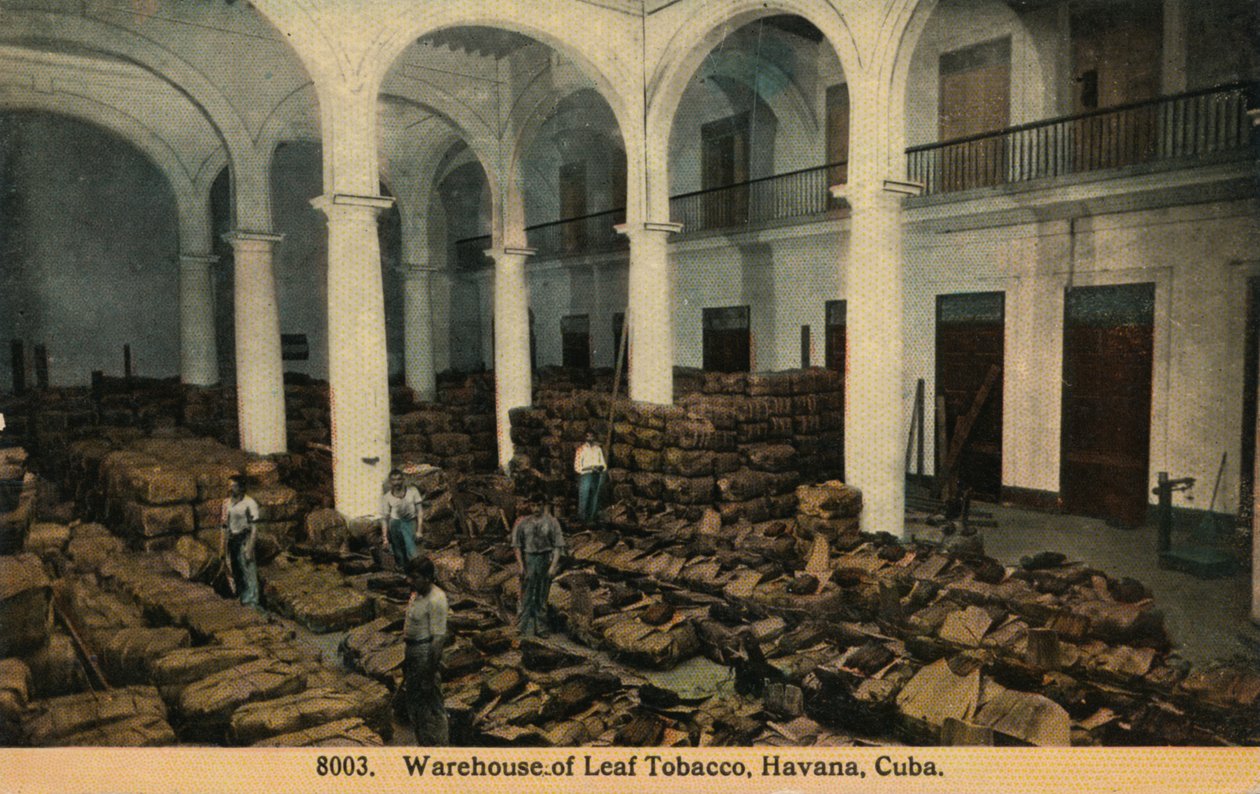 Warehouse of Leaf Tobacco, Havana, Kuba, c1910 od Unbekannt