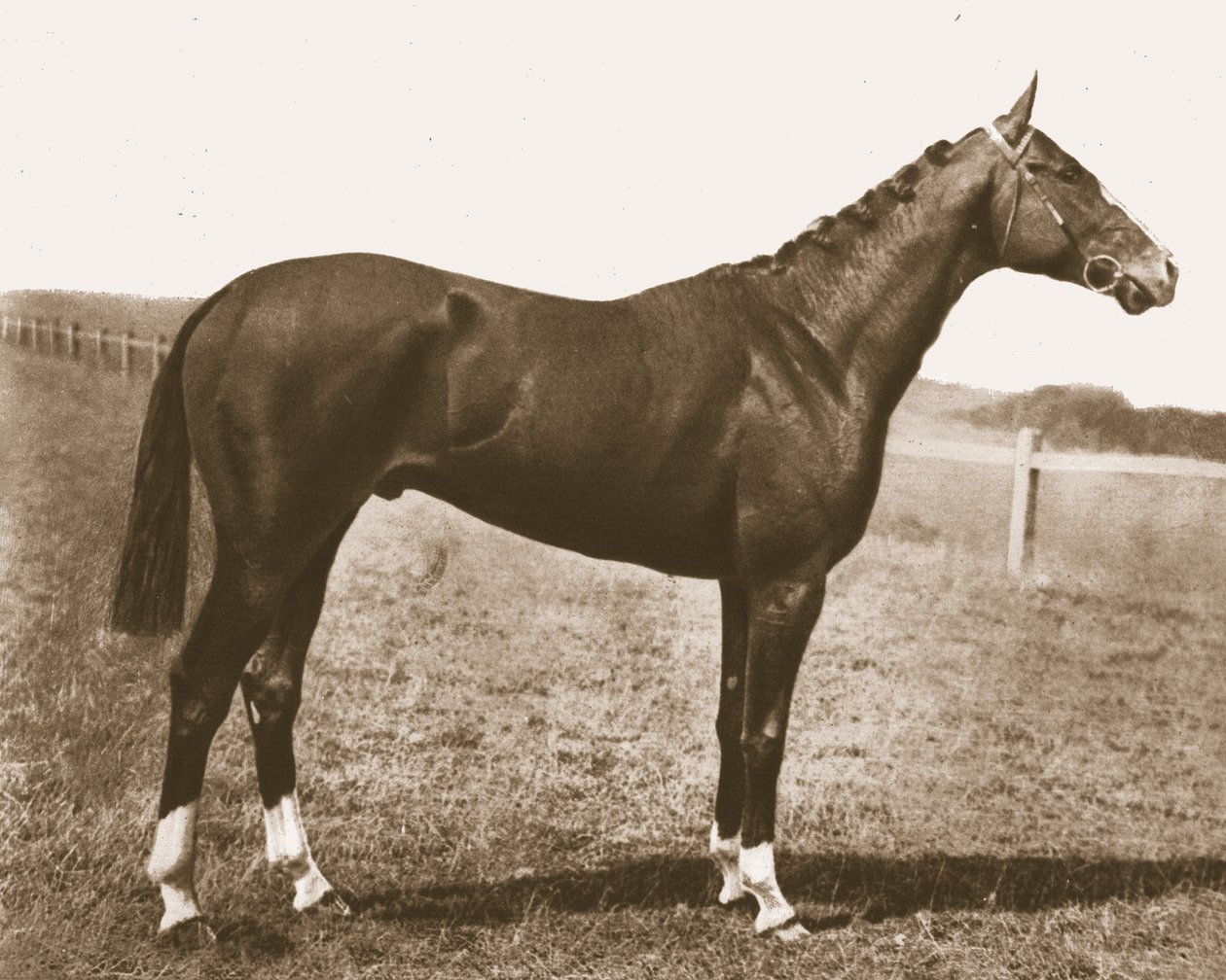 Weathercock, 1911. od Unbekannt