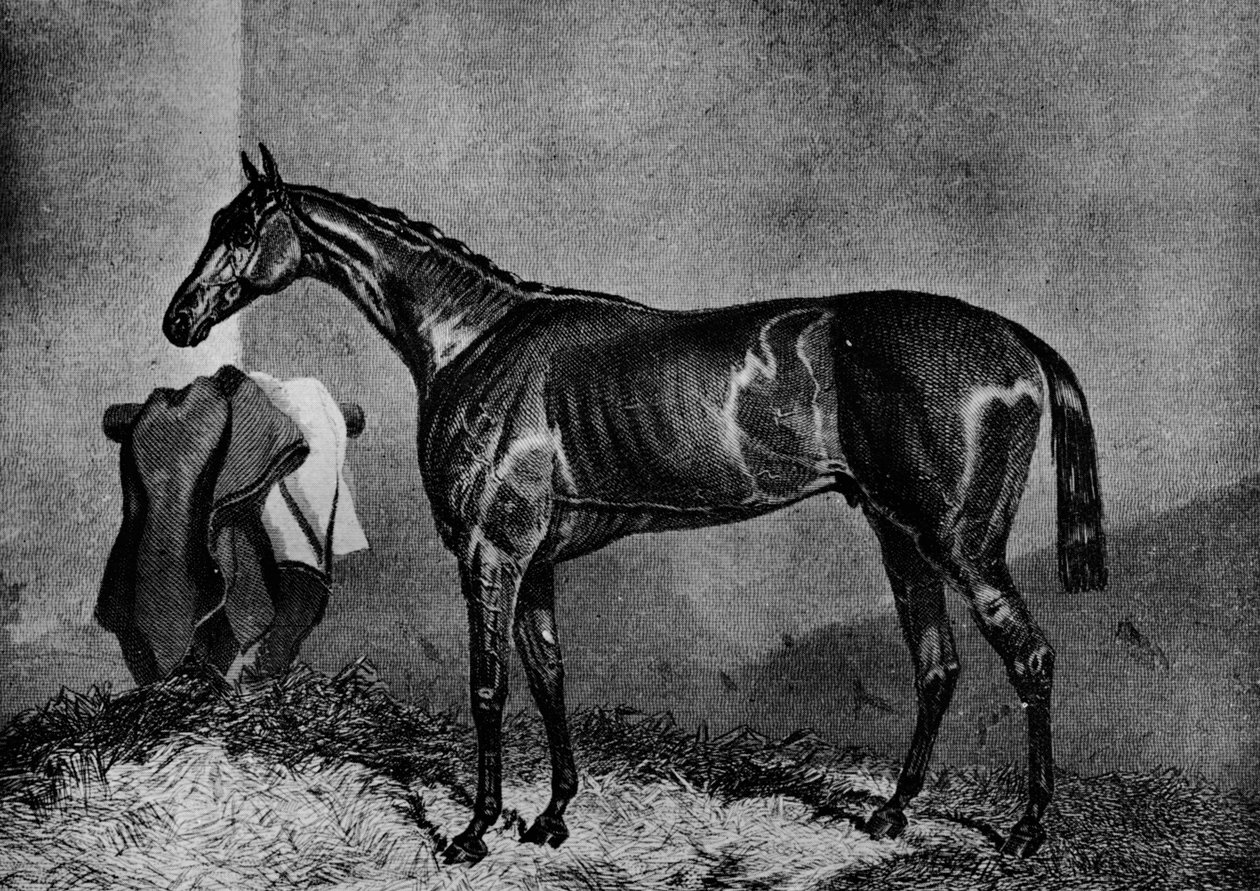 Wild Dayrell, 1852-1870, 1911 od Unbekannt