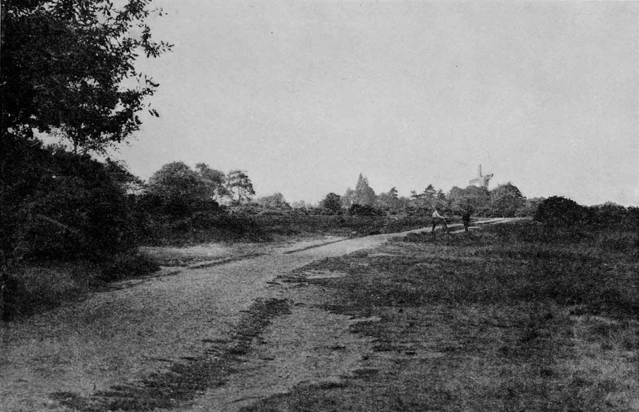 Wimbledon Common and the Windmill, c1900, 1912 od Unbekannt