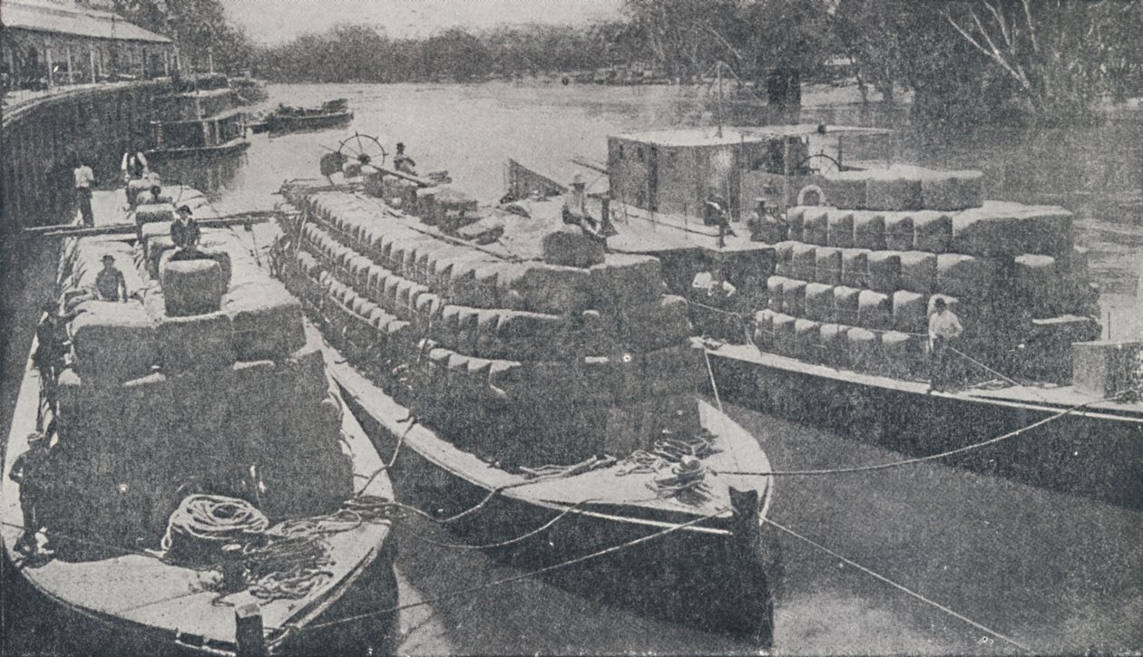 Vlněné čluny na řece Murray, 1923. od Unbekannt