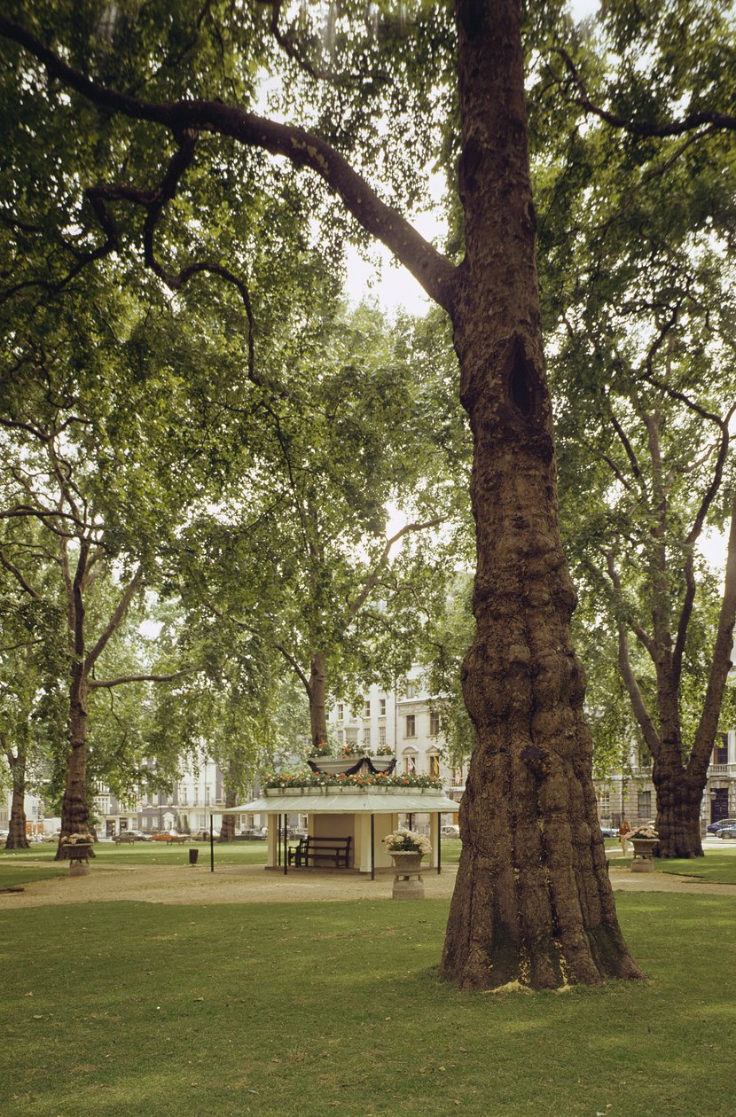 Berkeley Square, Londýn W1 od Unbekannt Unbekannt
