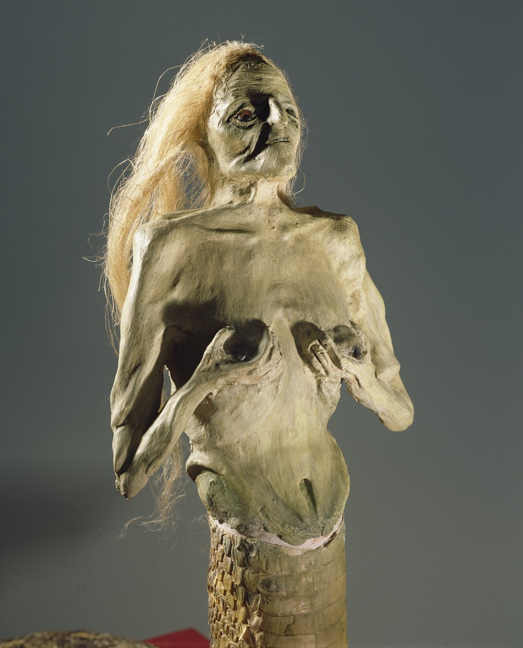 Napůl žena, napůl hadí stvoření, plod Meluzíny, 1900 od Unbekannt Unbekannt