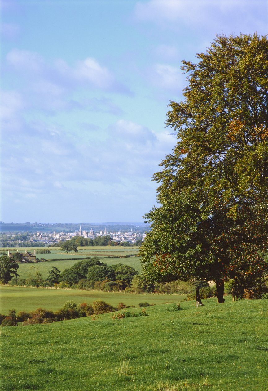 Pohled na Oxford z Boars Hill od Unbekannt Unbekannt